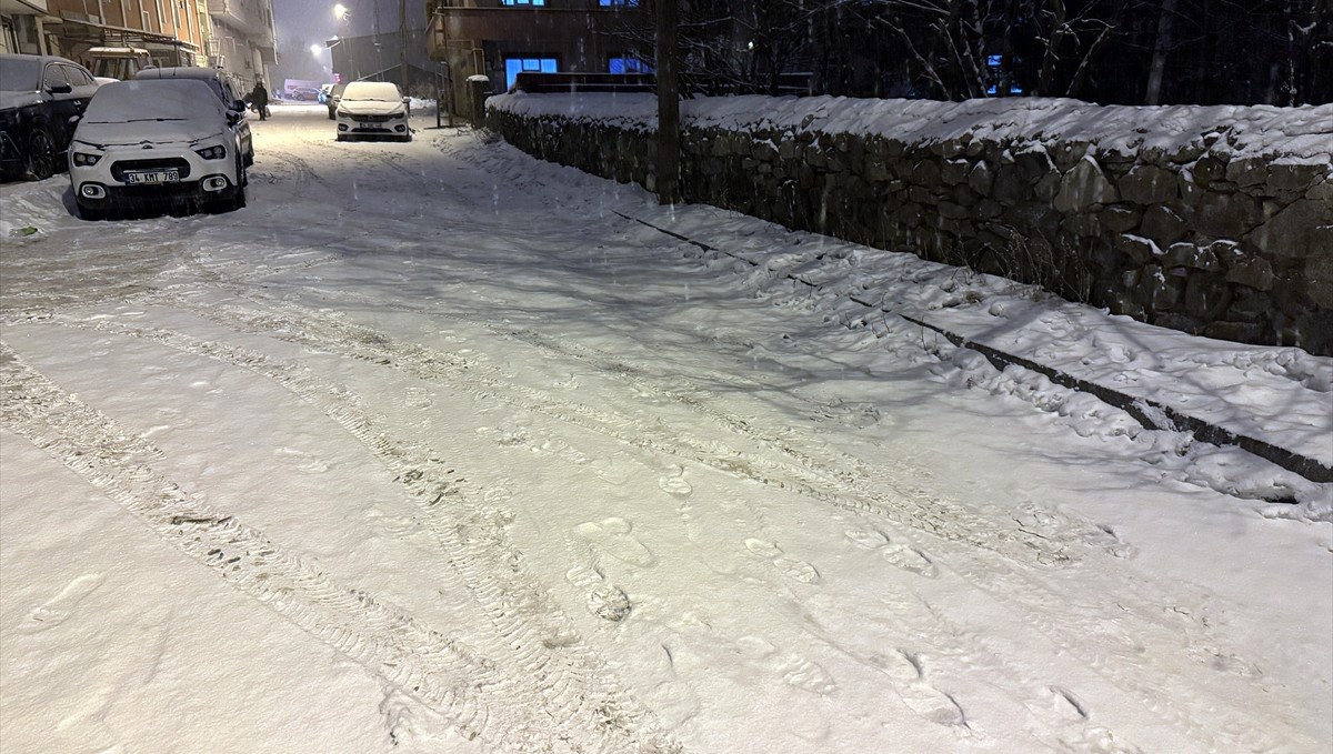 Ardahan ve Kars'ta kar yağışı etkili oldu