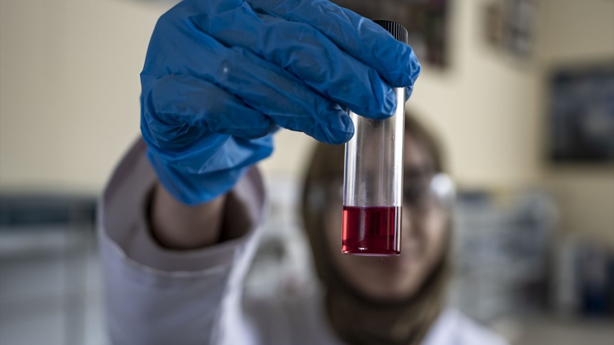 Atatürk Üniversitesinden bilim insanları Erzurum'da ilaç ham maddesi üretiyor