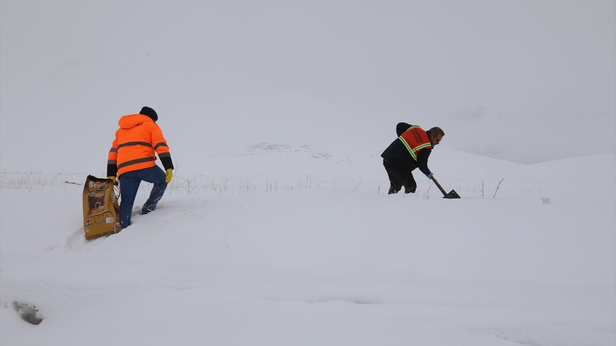 Başkale'de yaban hayvanları için doğaya yem bırakıldı