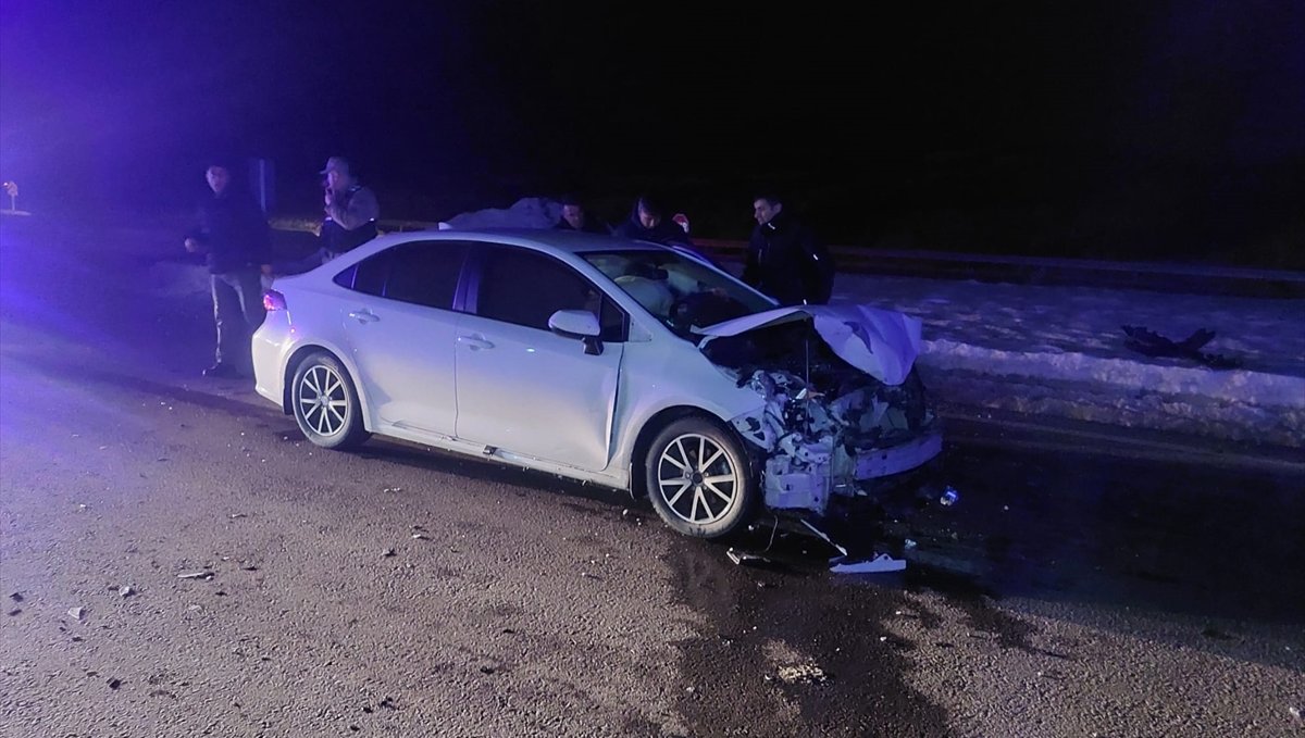 Bingöl'de domuz sürüsüne çarpan otomobildeki 3 kişi yaralandı