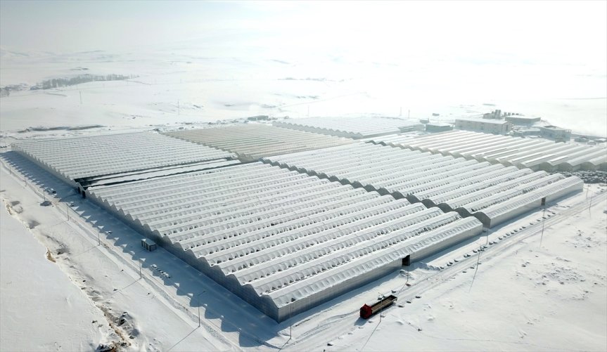 Soğuk iklime rağmen jeotermal enerjiyle faaliyet gösteren Diyadin seraları