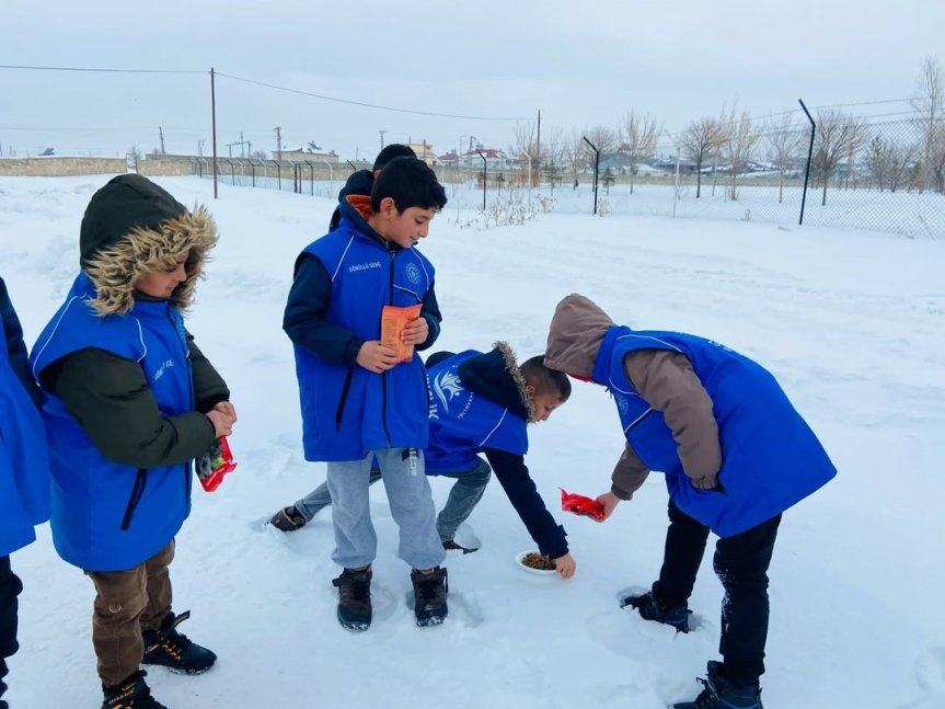 4️⃣ Karlı alanda gençler, sokak hayvanları için mama bırakırken görüntülendi.