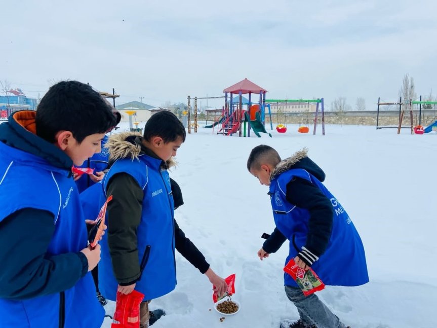 5️⃣ Soğuk havaya rağmen gönüllü gençler, can dostlar için mama dağıtımını sürdürdü.