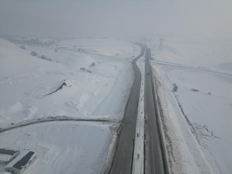 Doğu Anadolu'da sulak alanlar dondu, bitki ve ağaçları kırağı kapladı