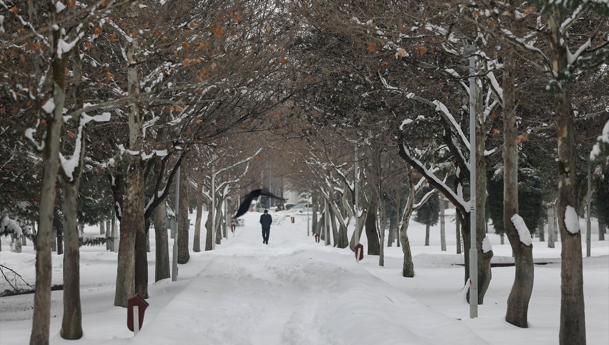 Elazığ'da kar yağışının ardından güzel manzaralar oluştu