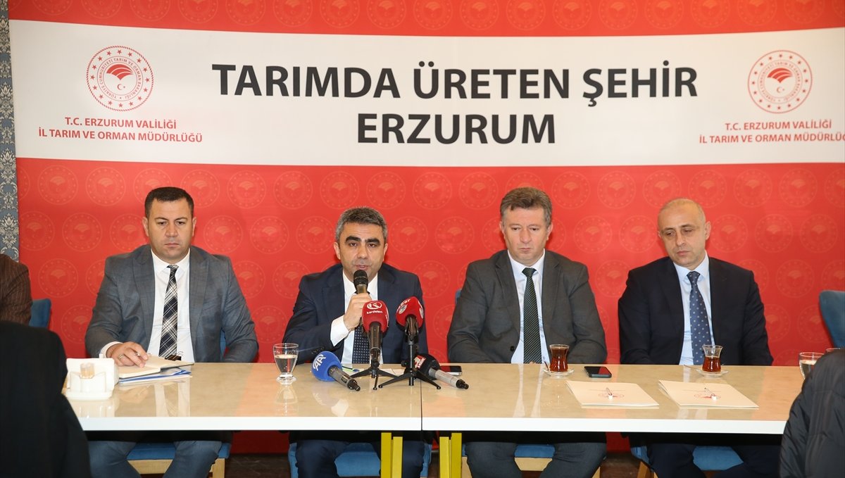 Erzurum'da büyükbaş hayvan sayısı artıyor
