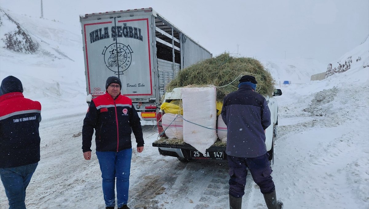 Erzurum'da ekipler, kar nedeniyle yolda mahsur kalan tırlardaki hayvanları besledi