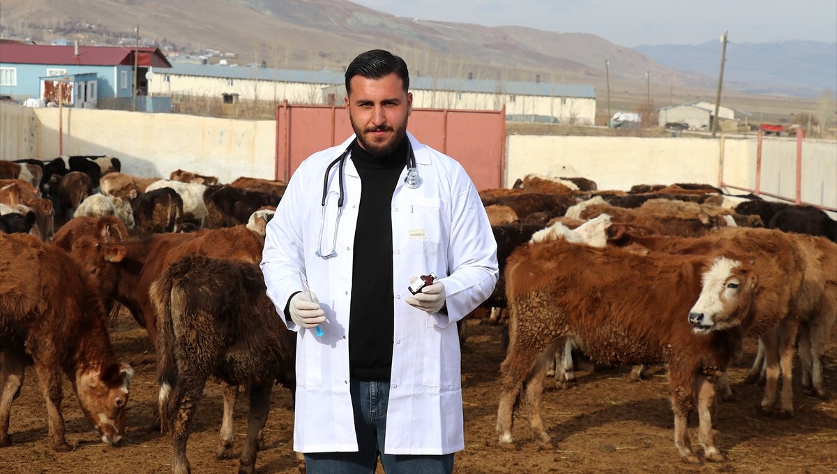 Genç veteriner, baba mesleği hayvancılığı modern yöntemlerle sürdürüyor