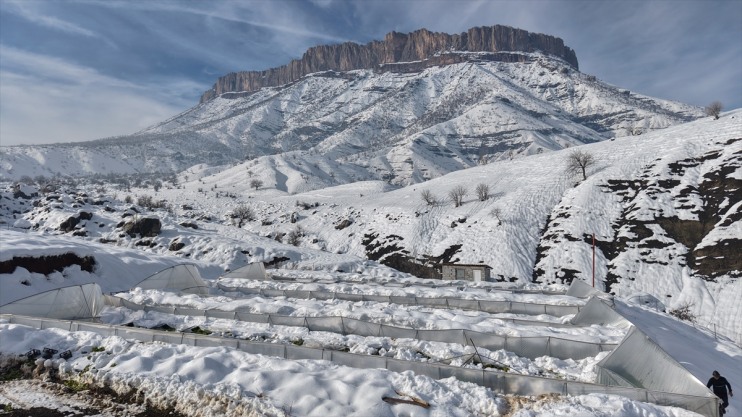nedeniyle çöktü seralar kar Hakkari