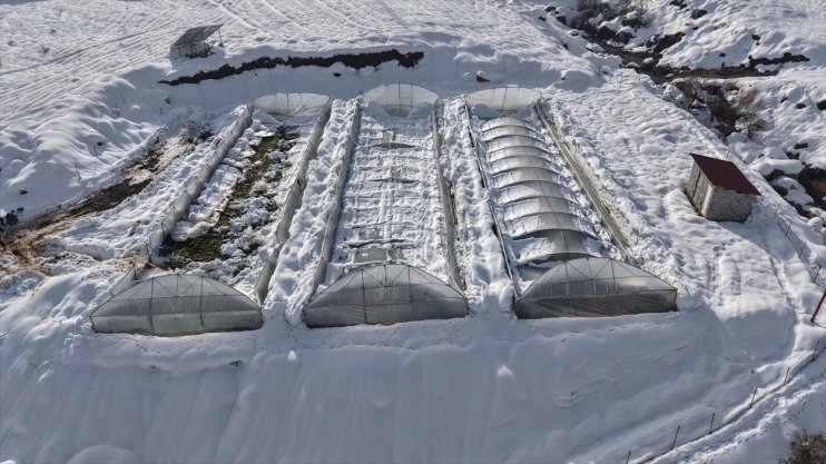 nedeniyle kar seralar çöktü Hakkari