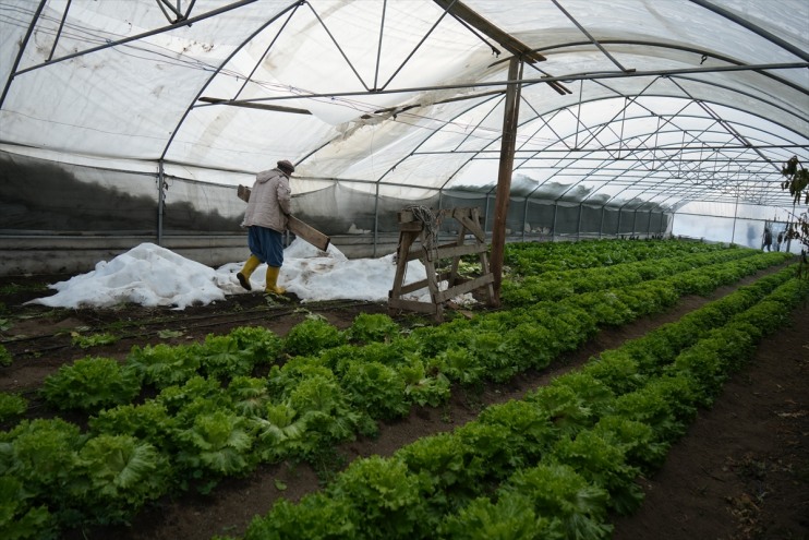 nedeniyle kar seralar Hakkari