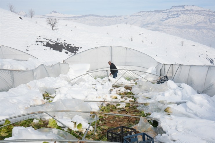 nedeniyle seralar kar Hakkari