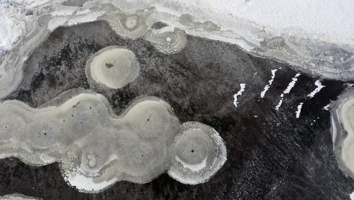 Iğdır'da kuşlara ev sahipliği yapan sulak alanlar dondu