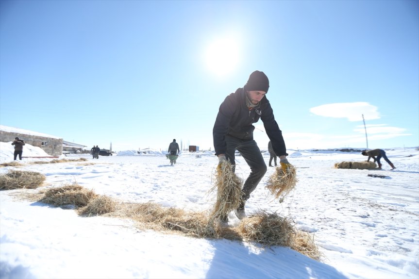 Kangal Akkaraman ırkı koyun sürüsünü yetiştiren besici Aytekin Demirkaya