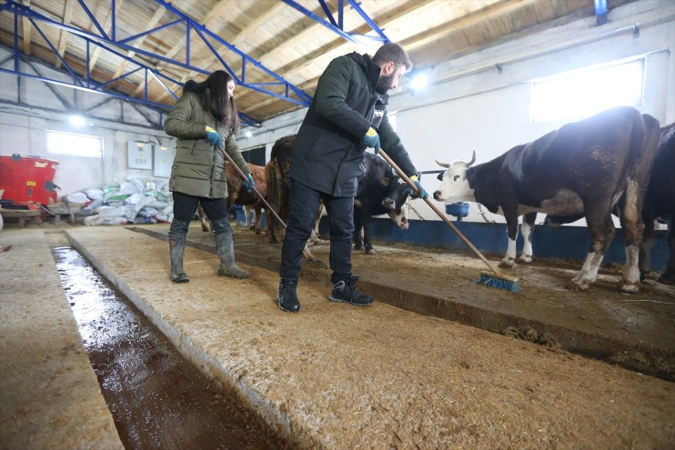 girişimci devlet desteğiyle çiftlik Kars