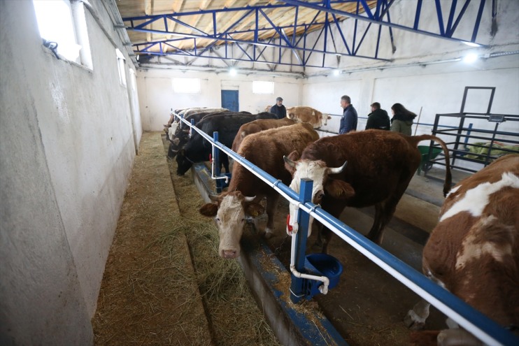 kurdu girişimci desteğiyle Kars