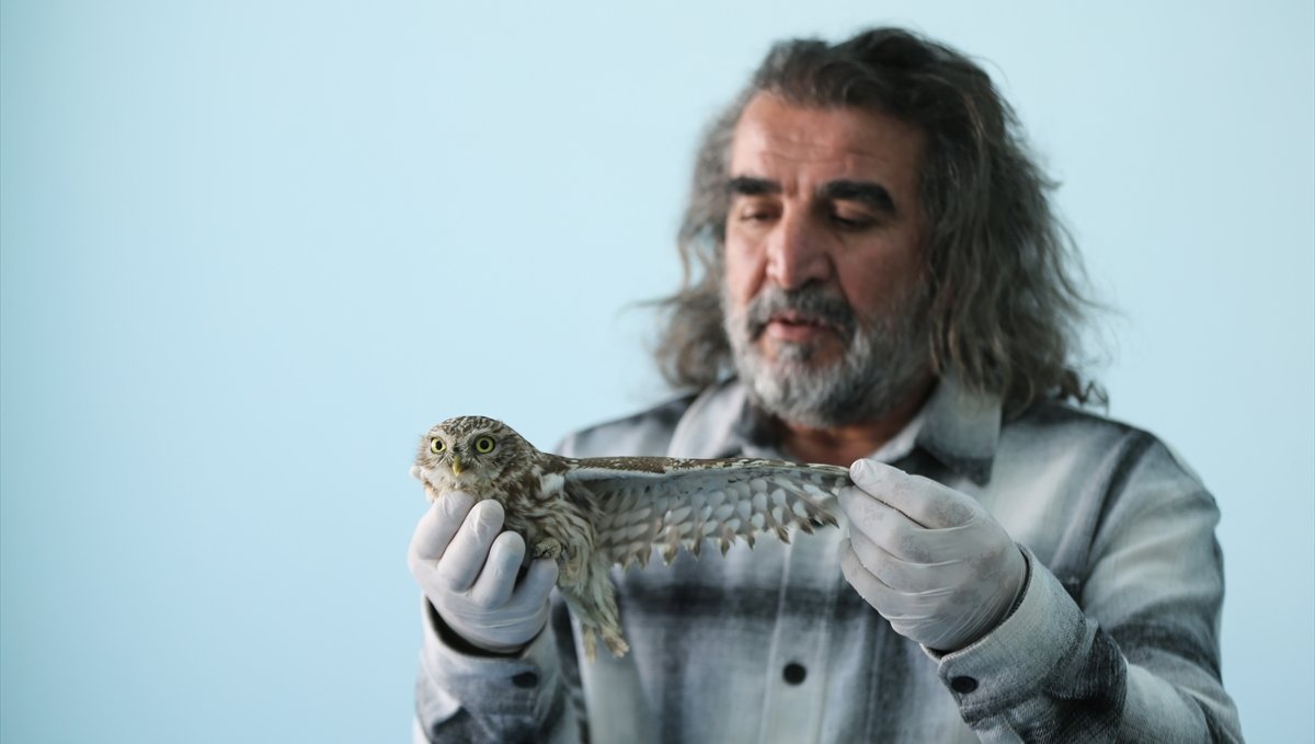 Kışın zorlu şartlarına dayanamayan yaban hayvanları Van'daki merkezde misafir ediliyor