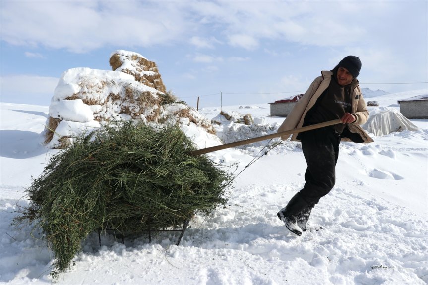 Besicinin karla kaplı alanda kızakla çektiği otlarla hayvanlar için yem taşıması