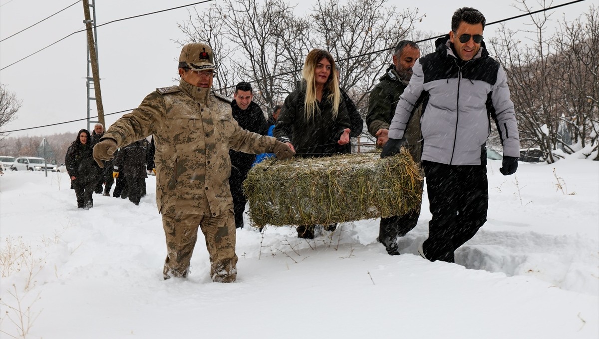 Tunceli'de yaban keçileri için doğaya yem bırakıldı