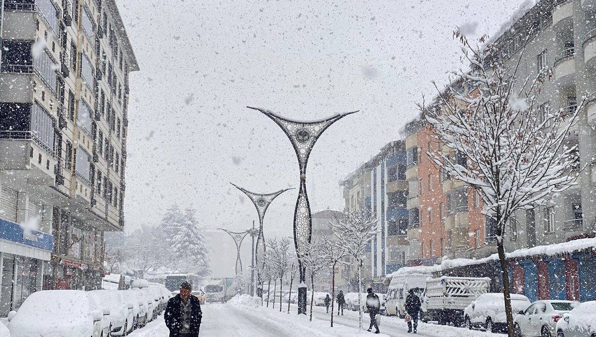 Van, Hakkari, Bitlis ve Muş'ta 289 yerleşim yerine ulaşım sağlanamıyor