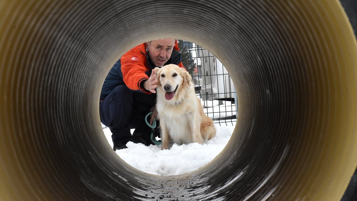 6 ŞUBAT DEPREMLERİNİN ÜÇÜNCÜ YILI - Yaralı patileriyle 6 kişiye umut olan Köpük eğitimlerle yeni görevlere hazırlanıyor