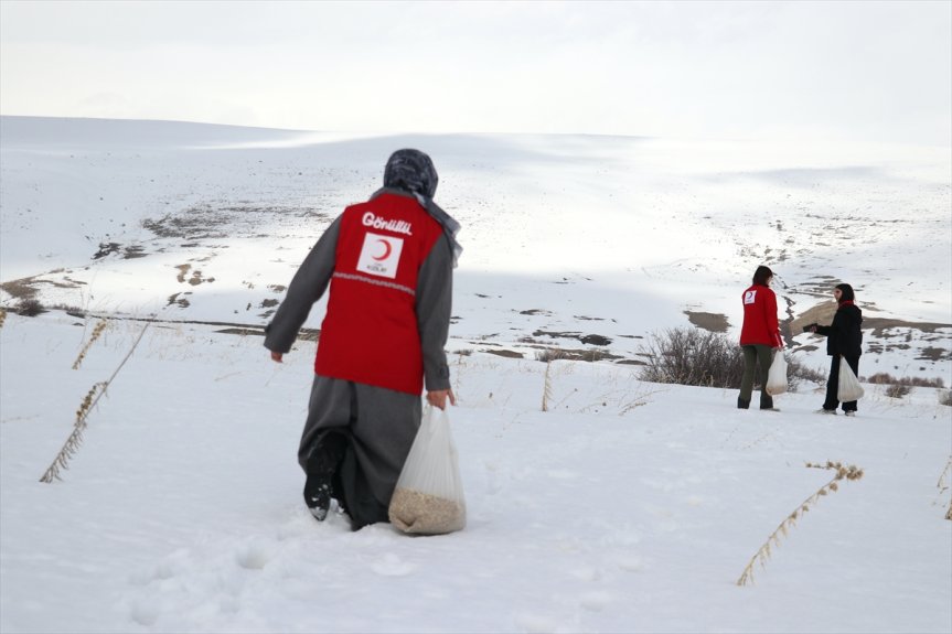 için yem karla yaban Ağrı