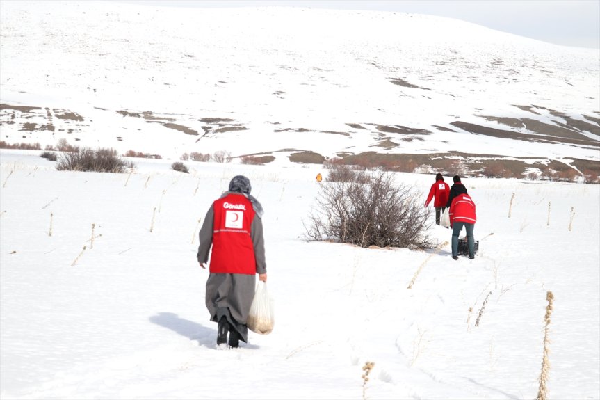 arazilere hayvanları Ağrı