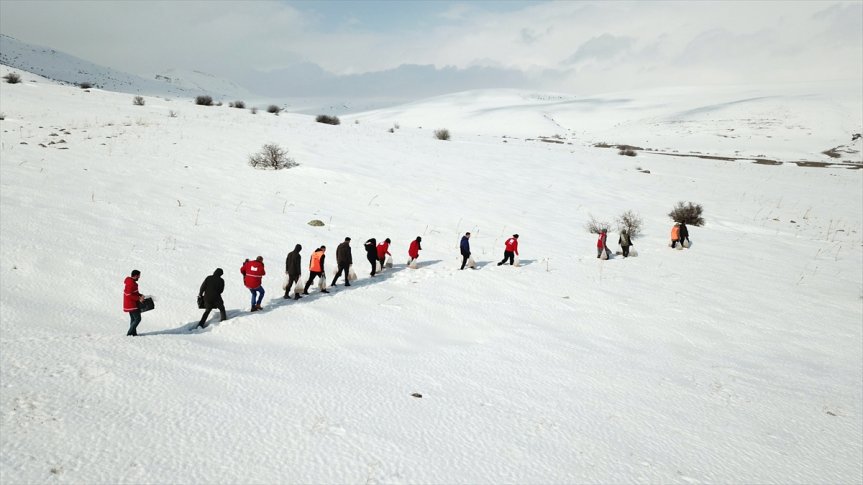 arazilere bırakıldı için hayvanları kaplı yem karla yaban Ağrı
