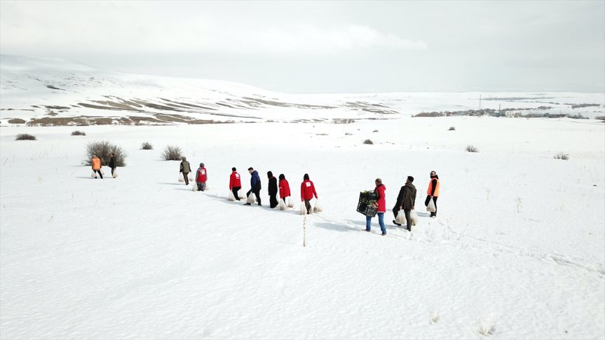yaban bırakıldı yem kaplı Ağrı
