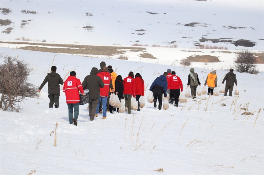 hayvanları karla arazilere kaplı yem Ağrı