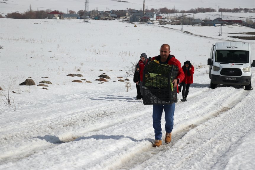 bırakıldı kaplı hayvanları arazilere için Ağrı