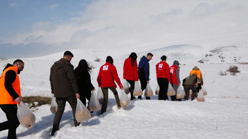 ağrı doğaya yem yapan hayvanları 3