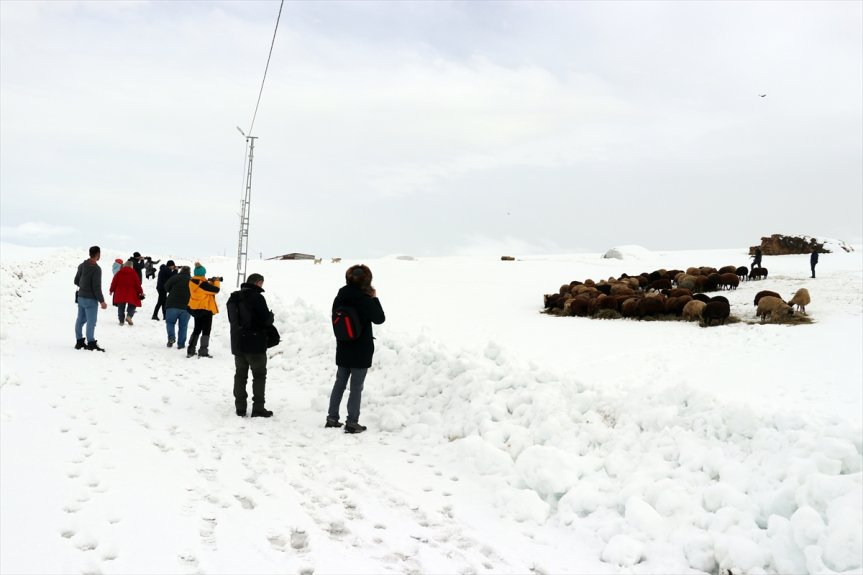 fotoğrafçıların doğal Ağrı