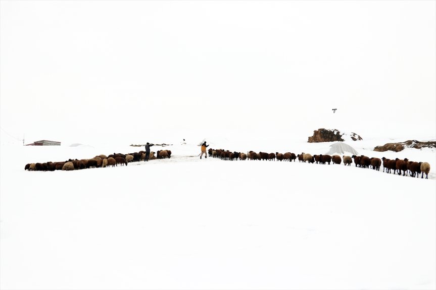 rotasında güzellikleri Ağrı