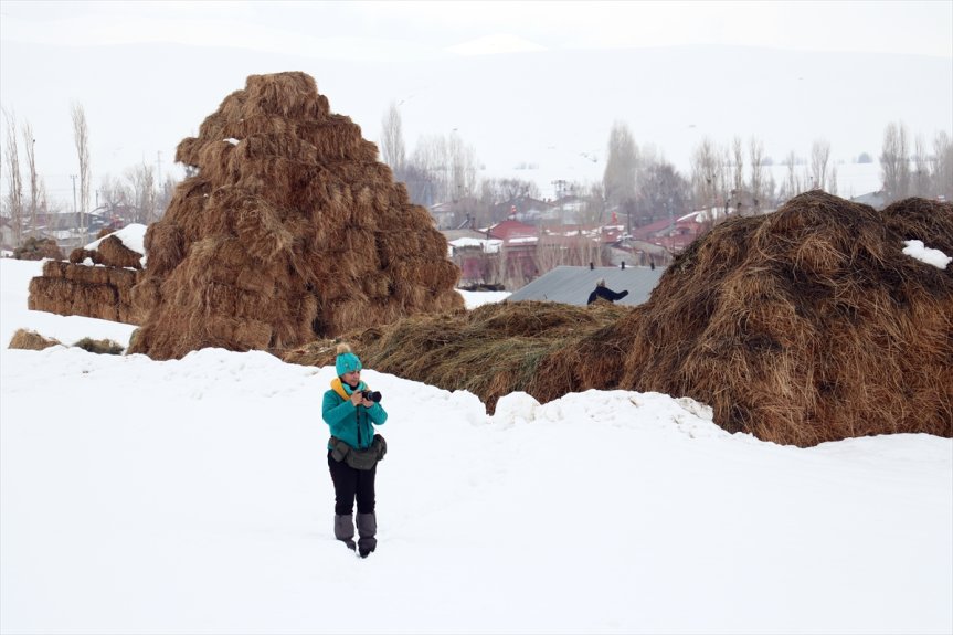 fotoğrafçıların doğal Ağrı