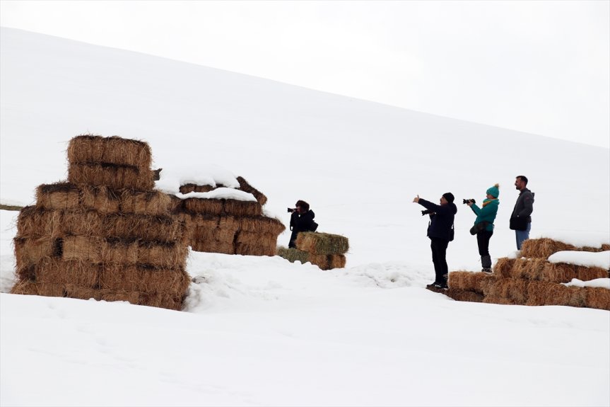 doğal kış fotoğrafçıların Ağrı