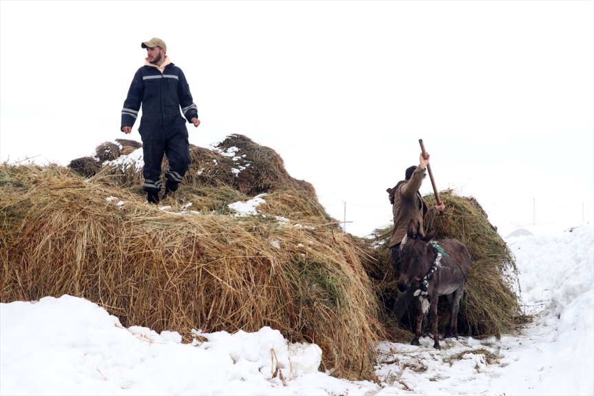 fotoğrafçıların kış Ağrı