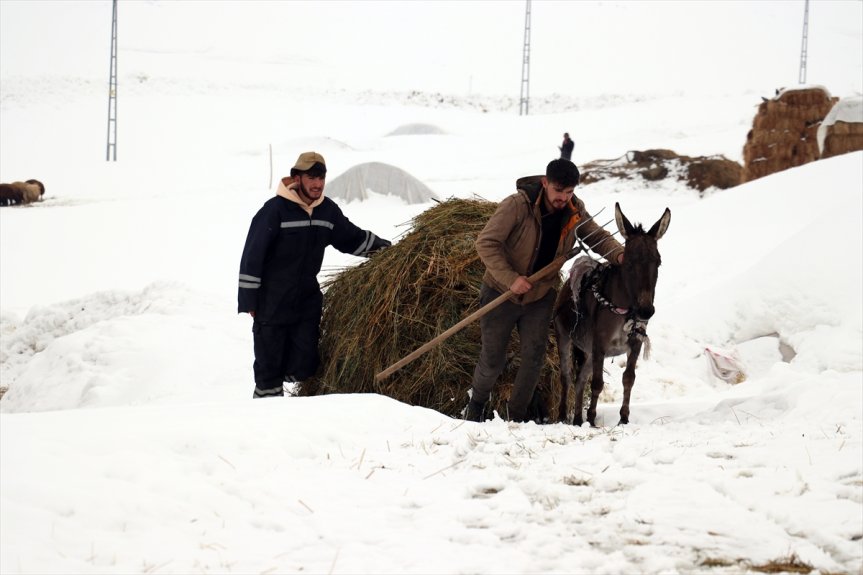 ve fotoğrafçıların kış Ağrı