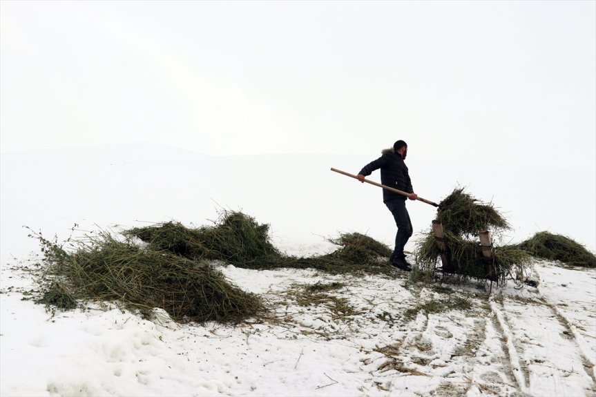 ve doğal zorlu Ağrı
