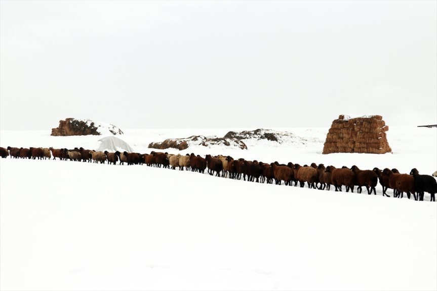 fotoğrafçıların güzellikleri Ağrı