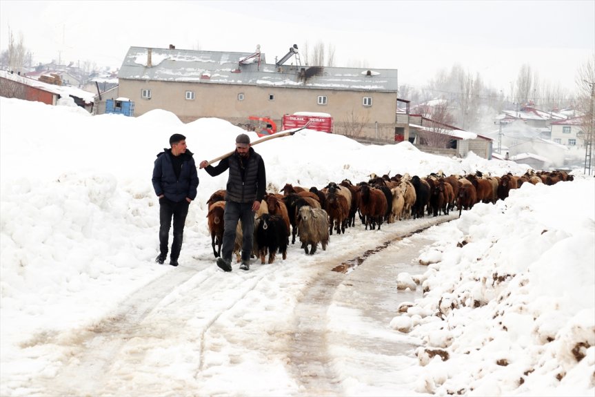 güzellikleri yaşamı rotasında ve kış doğal zorlu fotoğrafçıların Ağrı