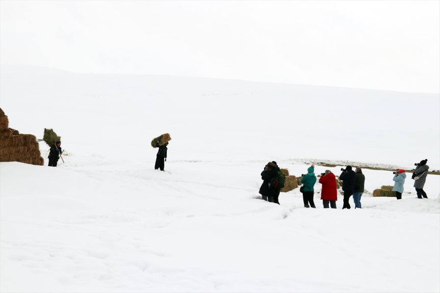 ve yaşamı fotoğrafçıların rotasında kış zorlu güzellikleri Ağrı