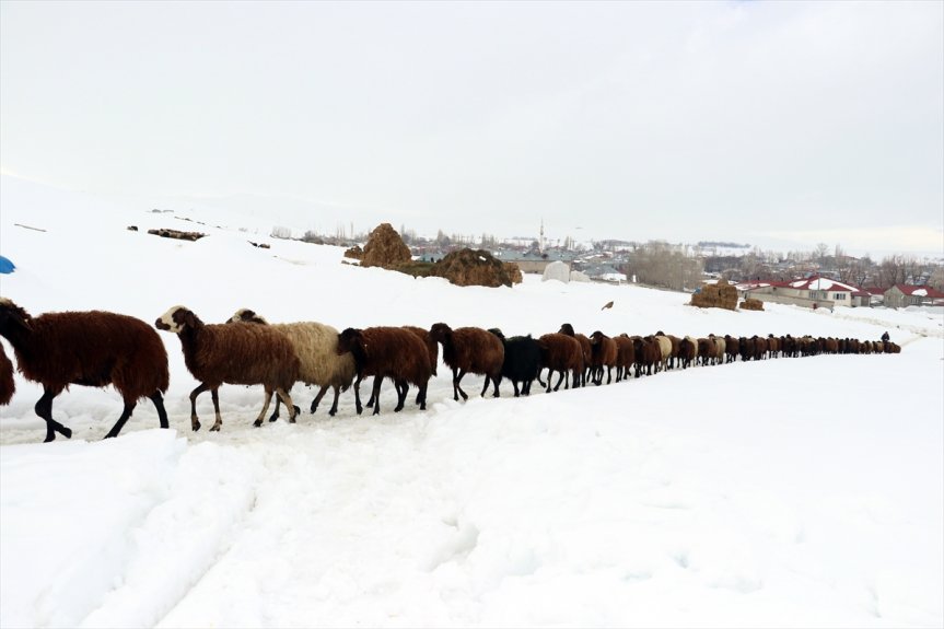 güzellikleri kış Ağrı