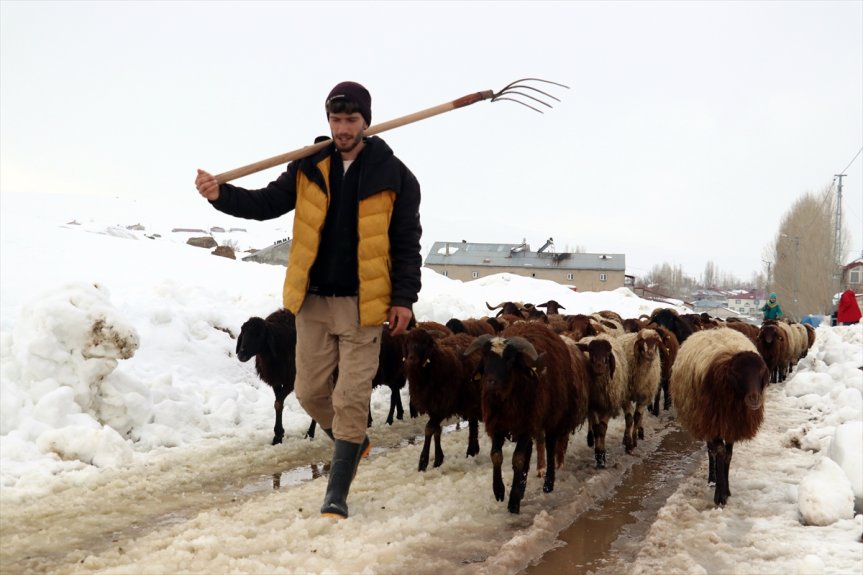 yaşamı rotasında ve zorlu Ağrı