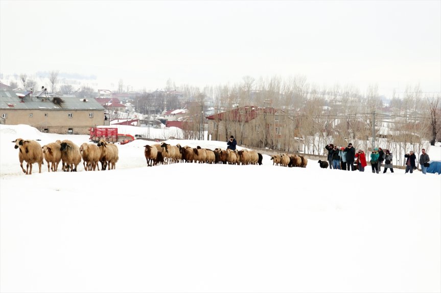 fotoğrafçıların Ağrı