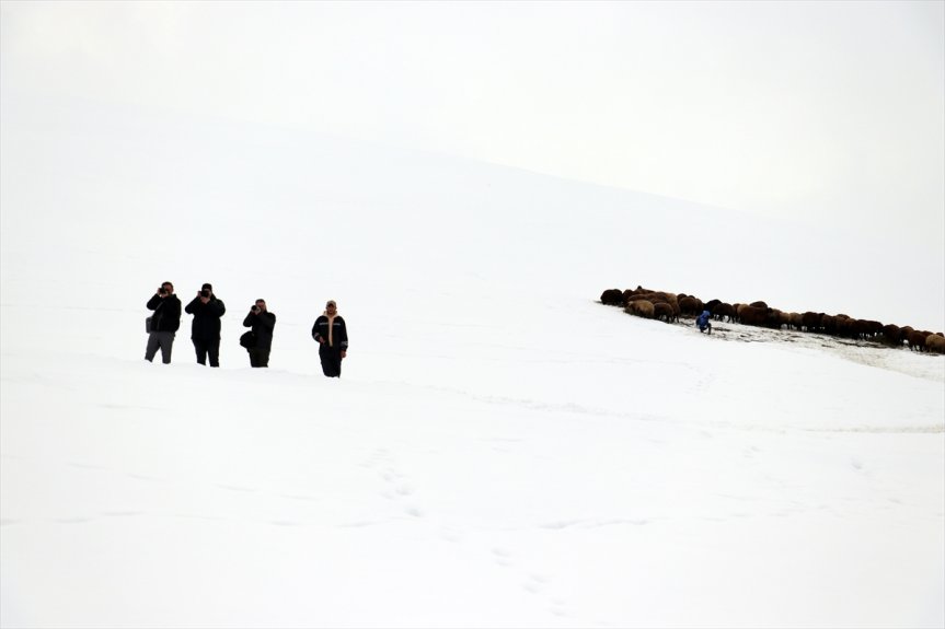 yaşamı doğal ve kış güzellikleri zorlu fotoğrafçıların rotasında Ağrı