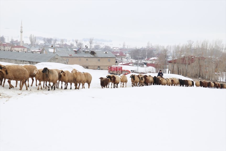 güzellikleri doğal ve fotoğrafçıların Ağrı