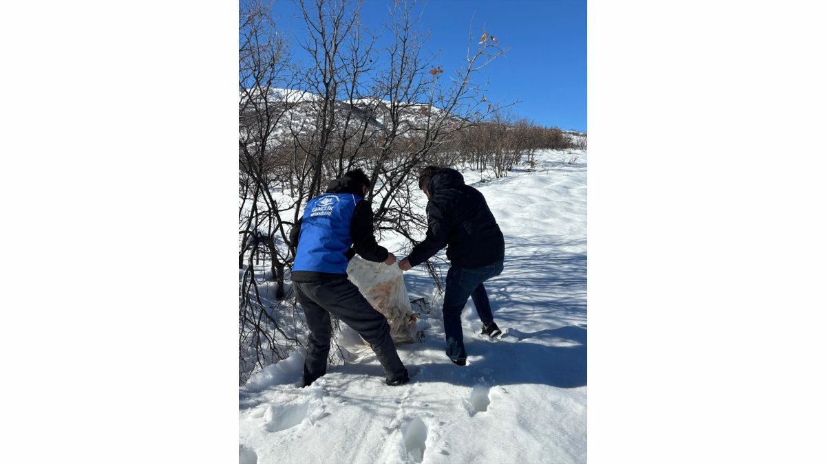 Bingöl'de yaban hayvanları için doğaya yem bırakıldı