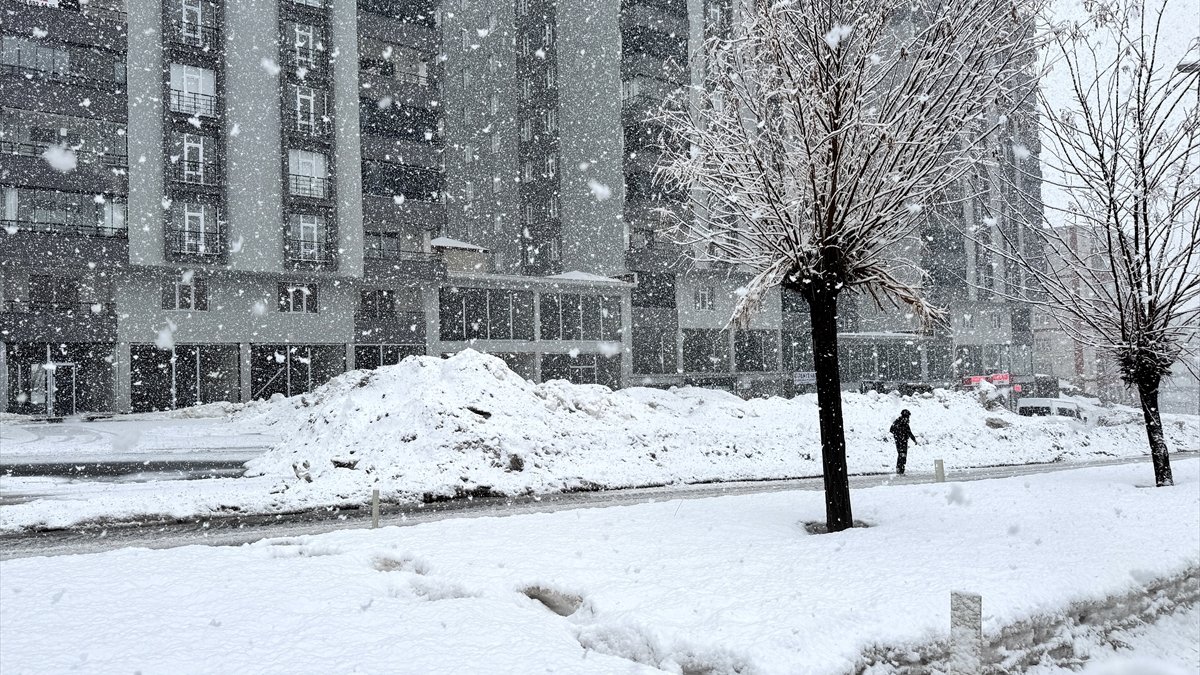Bitlis'te kar etkili oldu