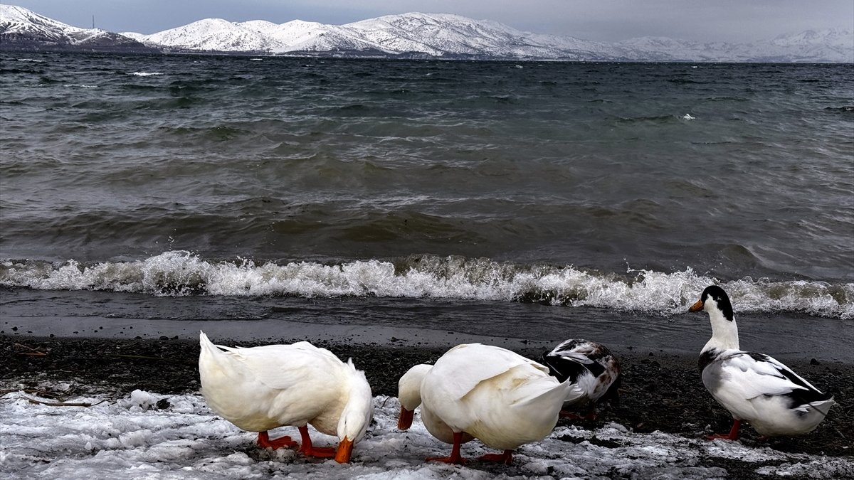 Çevresi karla kaplı Hazar Gölü ziyaretçilerini ağırlıyor